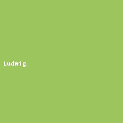Hersteller: Ludwig